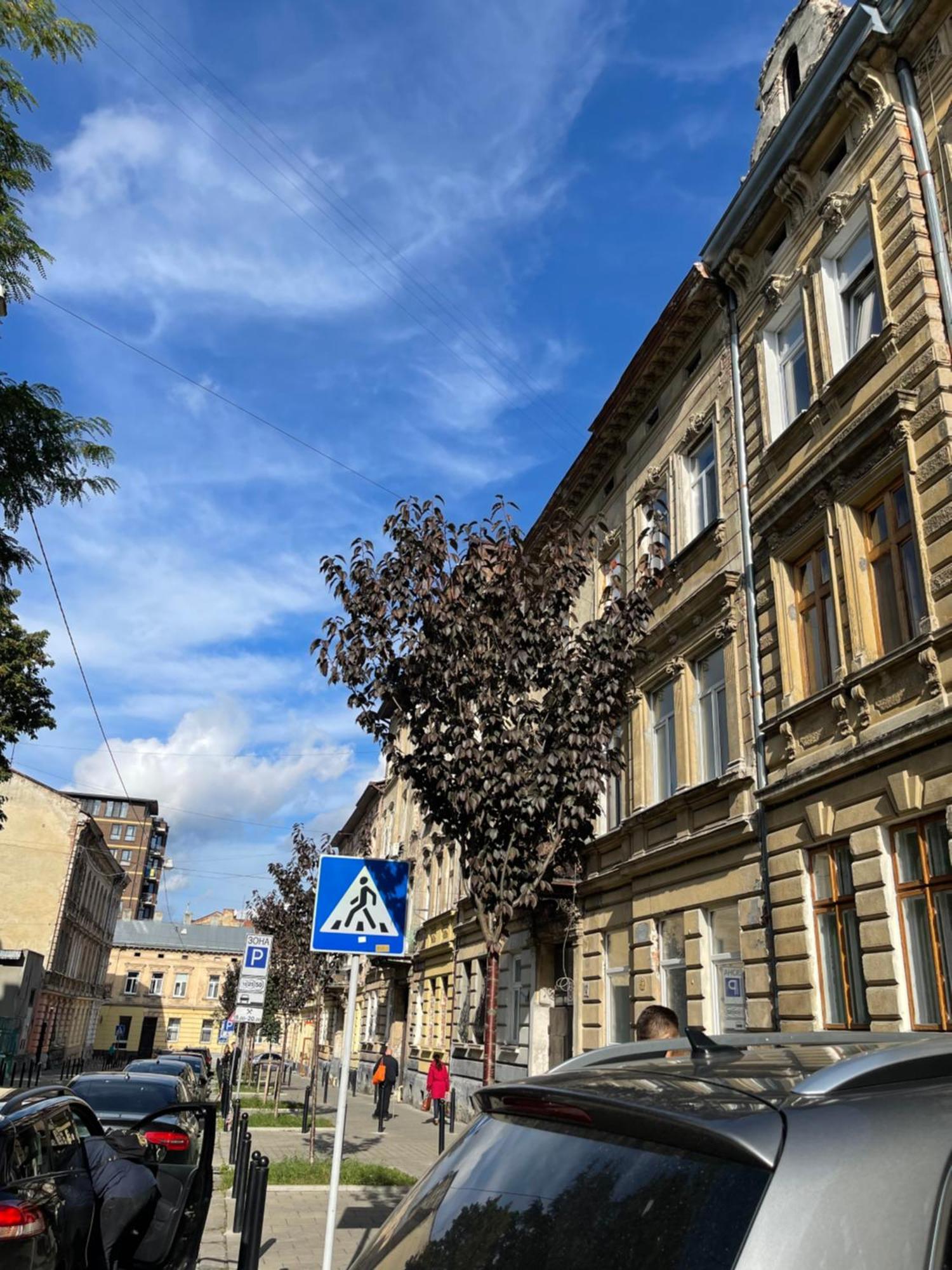 Vintage Apartment Kotlyarska10 Lvov Exteriér fotografie